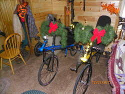 Christmas bikes.JPG