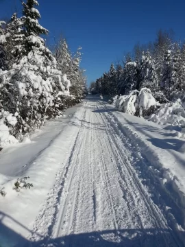 [Hearth.com] 2012/13 Snowmobile trail grooming.