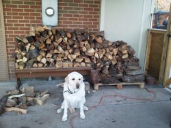 got a load stacked up and ready to burn