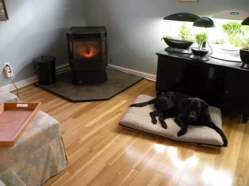 [Hearth.com] So my cat really hates the pellet stove...
