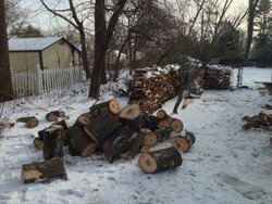 Two topics... wood processing retirement and wood cutting time commitment
