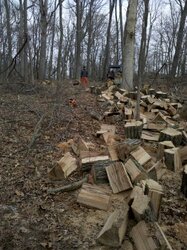Doug Rzr Cutting Wood 3 2012.jpg