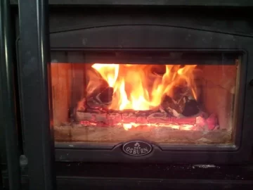 [Hearth.com] Wood burning wife