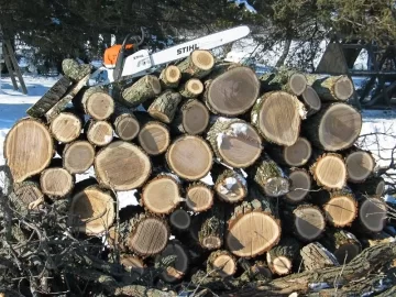 [Hearth.com] New Year, New Saw, First Scrounge...