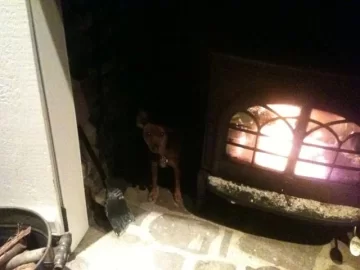 [Hearth.com] Clearances to Combustibles Theory