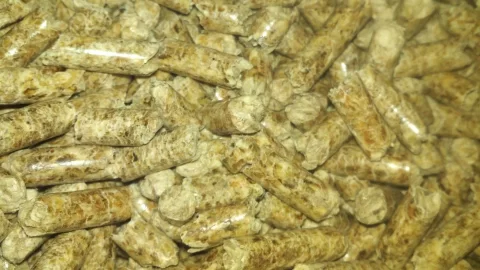 [Hearth.com] Burnpot on 55-trpep
