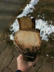 How much wood, would a wood chuck chuck if...... (Id Please)