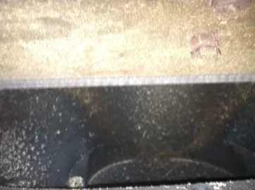 [Hearth.com] Help me not burn my house down- glaze creosote