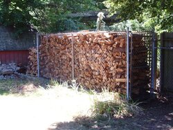 My first Wood pile