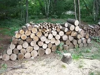[Hearth.com] Free Wood!! pic