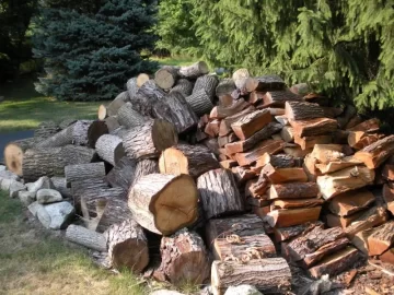 [Hearth.com] Even House Wives are asking about my Wood....