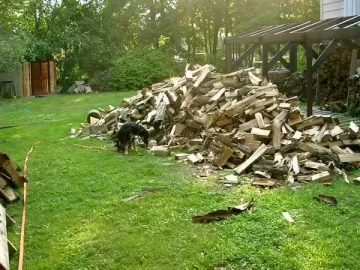 [Hearth.com] Woodpile, Before & After, rented splitter today...