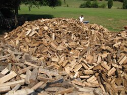 WOW now thats a pile of wood