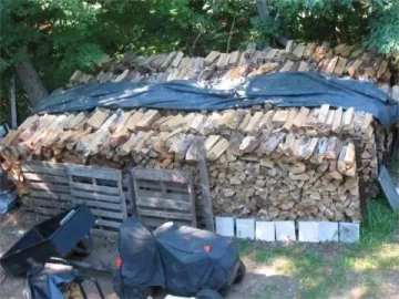 [Hearth.com] My wood is NEVER gonna dry