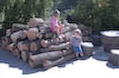 [Hearth.com] log splitter rental