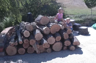[Hearth.com] log splitter rental