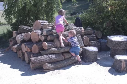 [Hearth.com] log splitter rental