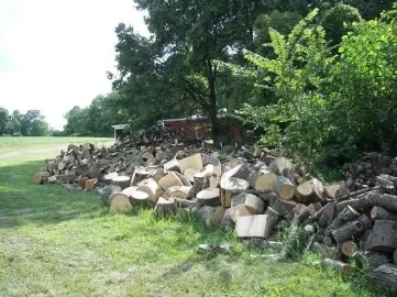 [Hearth.com] Look what the wood guy brought me!!!