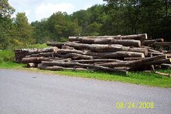 wood shed progress, triaxle load, split stacks (pics)