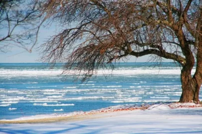 [Hearth.com] Snow on the Stacks and the lake