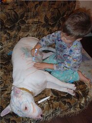 funny-kid-painting-dog.jpg
