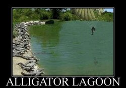 funny-alligator-lagoon-guy-parachute.jpg