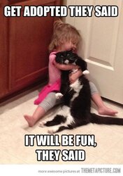 funny-baby-girl-hugging-cat.jpg