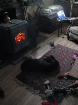 [Hearth.com] Maybe a Woodstock advertisement in his future?