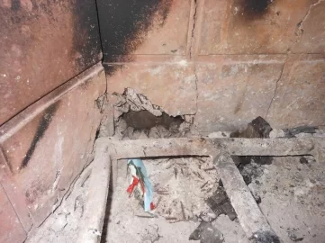 [Hearth.com] New house, fireplace question