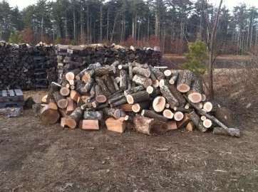 [Hearth.com] You've heard of cherry Coke this cherry Oak :)