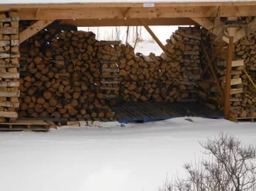 [Hearth.com] Burning spruce, almost shoulder season temps
