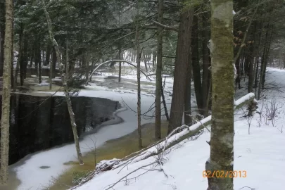 [Hearth.com] Damn Beaver!