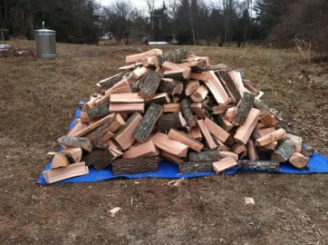 [Hearth.com] Splitting done today