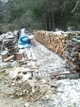 [Hearth.com] Locust splitting today