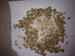 Newbie with first bag of bad? pellets.