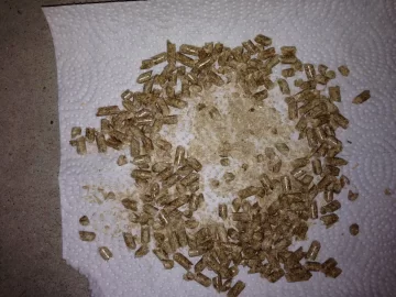 [Hearth.com] Newbie with first bag of bad? pellets.