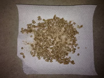 [Hearth.com] Newbie with first bag of bad? pellets.