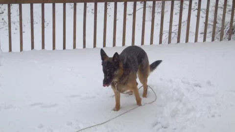[Hearth.com] Snow pics anyone - before, during, after