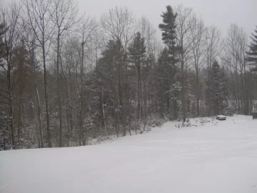 [Hearth.com] Snow pics anyone - before, during, after