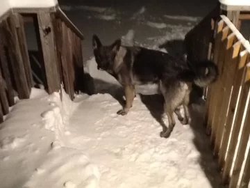 [Hearth.com] Snow pics anyone - before, during, after