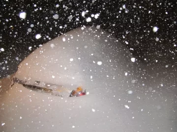 [Hearth.com] Snow pics anyone - before, during, after