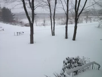 [Hearth.com] Snow pics anyone - before, during, after