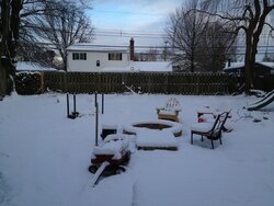 Feb. Snow 2.jpg