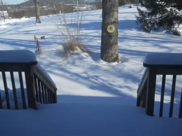 [Hearth.com] Snow pics anyone - before, during, after