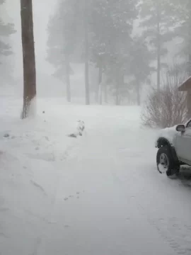 [Hearth.com] Snow pics anyone - before, during, after