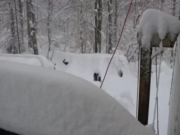 [Hearth.com] digging out the woodpile
