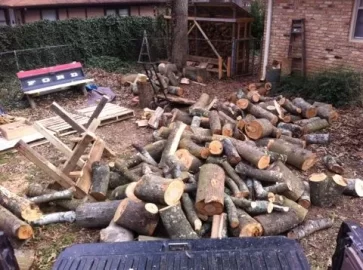 [Hearth.com] Scrounge from today and last weekend