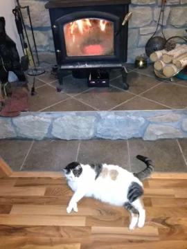 [Hearth.com] My Stove Temperature Digital Project