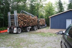Logging truck load