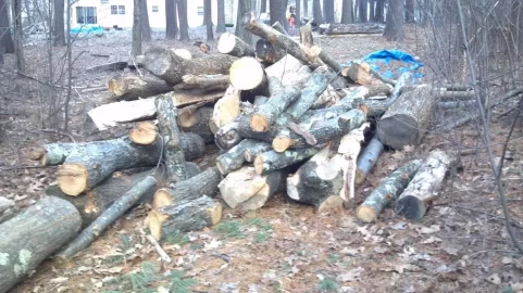 [Hearth.com] Log Lifting
